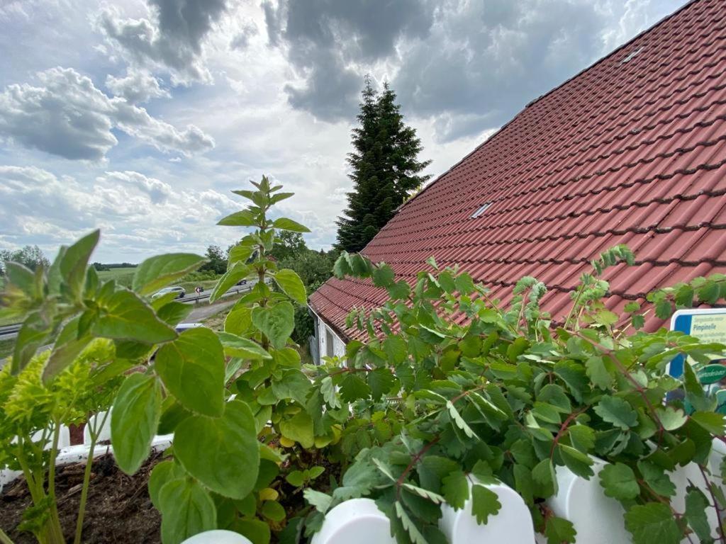 Familienhof Mueritz Klein Plasten Exterior foto