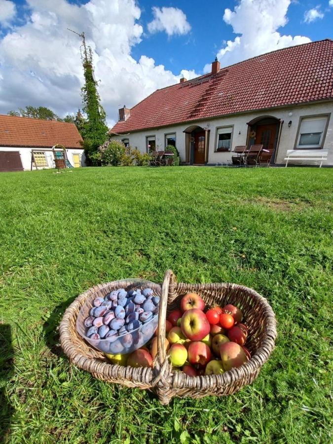 Familienhof Mueritz Klein Plasten Exterior foto