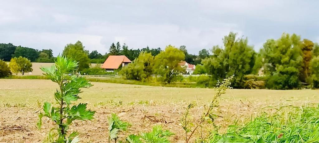 Familienhof Mueritz Klein Plasten Exterior foto