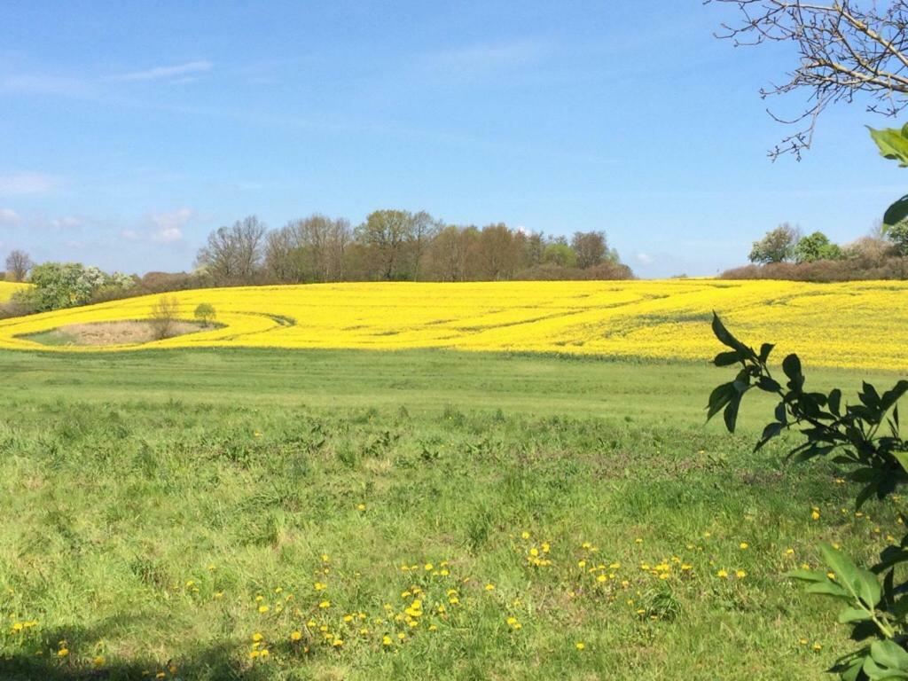 Familienhof Mueritz Klein Plasten Exterior foto