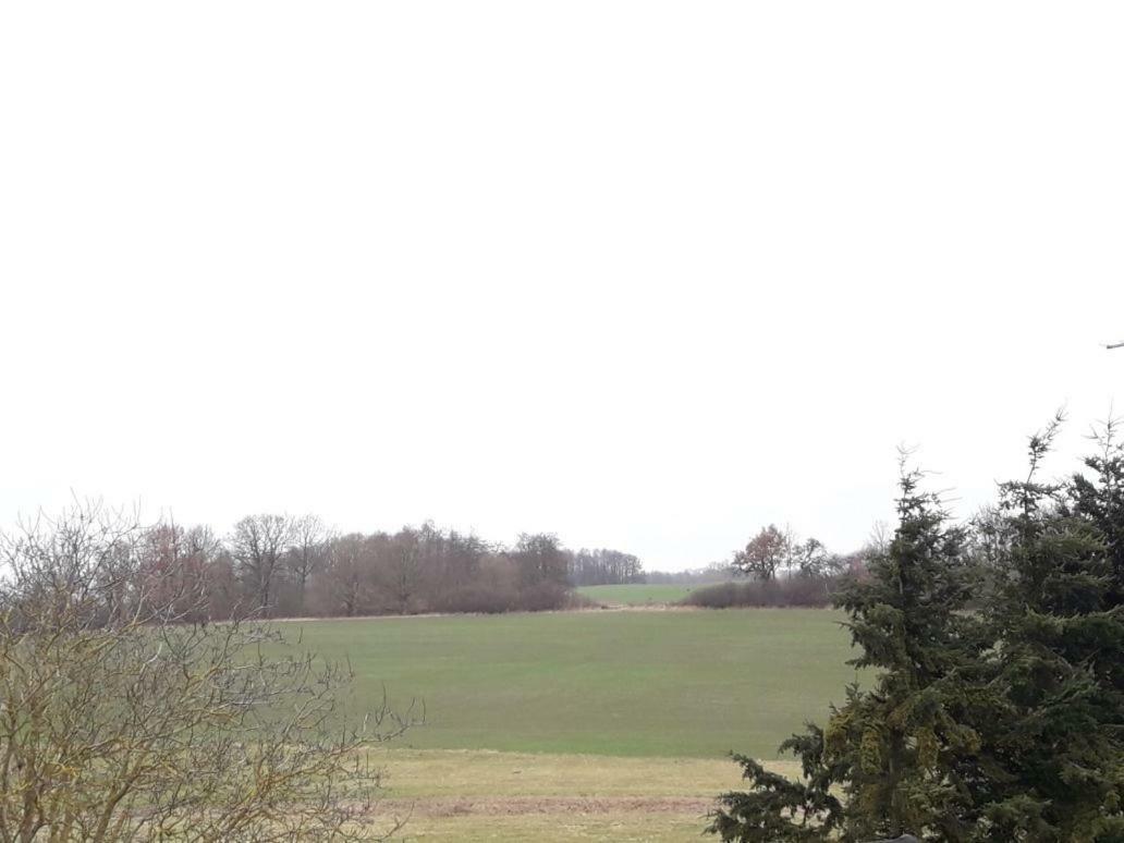 Familienhof Mueritz Klein Plasten Exterior foto